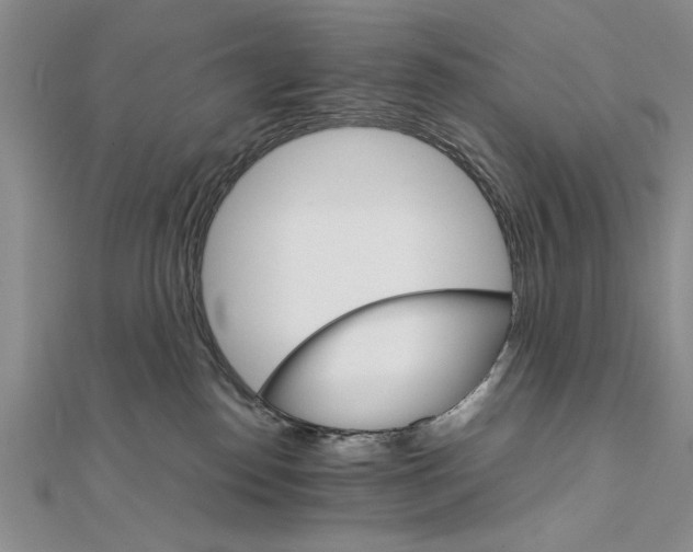 X0000111680186200908071432