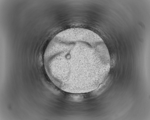 X0000111680187200908071432