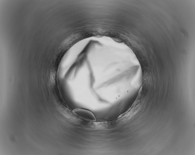 X0000111680188200908071432