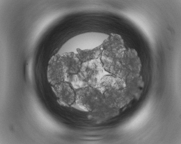 X0000111680189200908071432