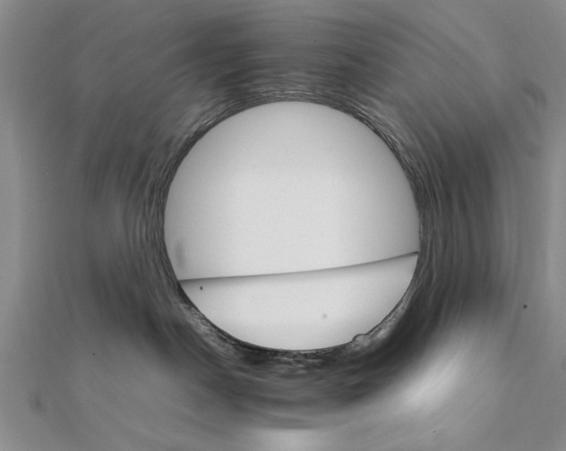 X0000111680190200908071432