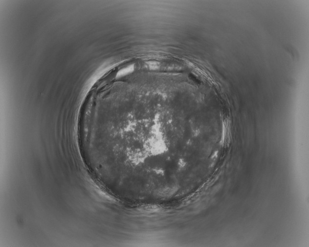 X0000111680195200908071432