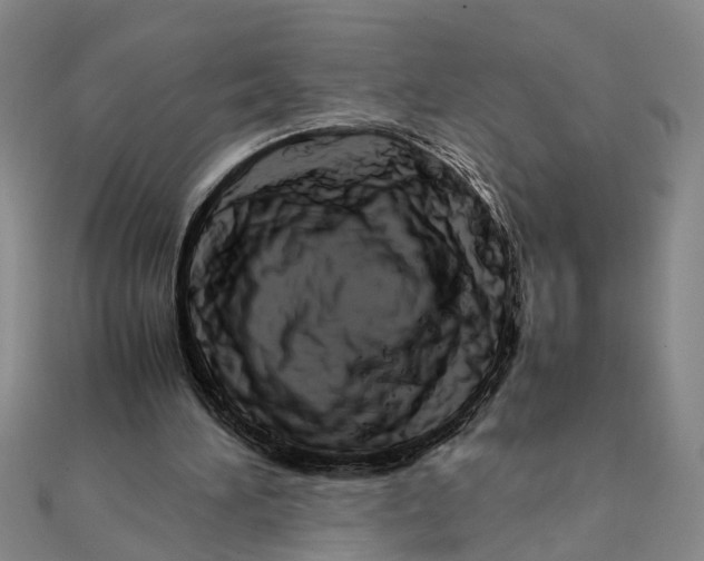 X0000111680196200908071432