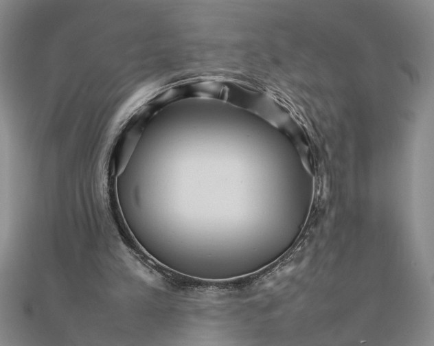 X0000111680197200908071431