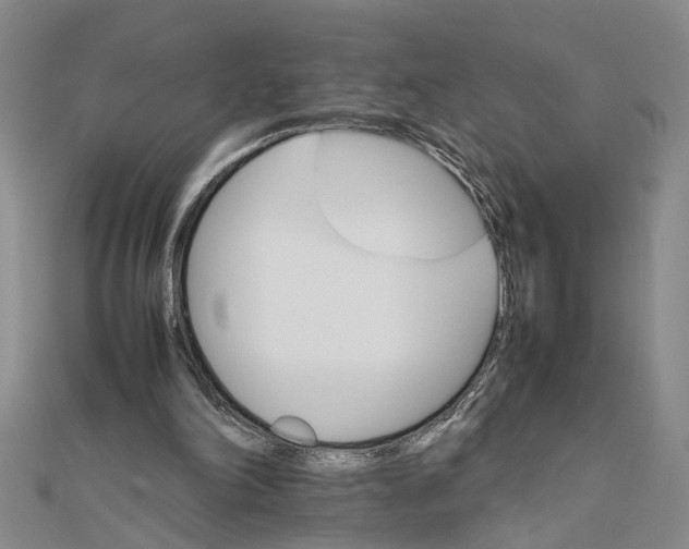 X0000111680198200908071431