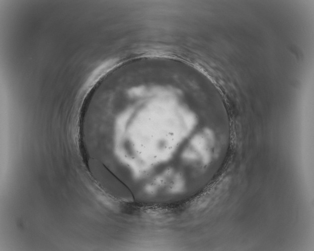 X0000111680199200908071431