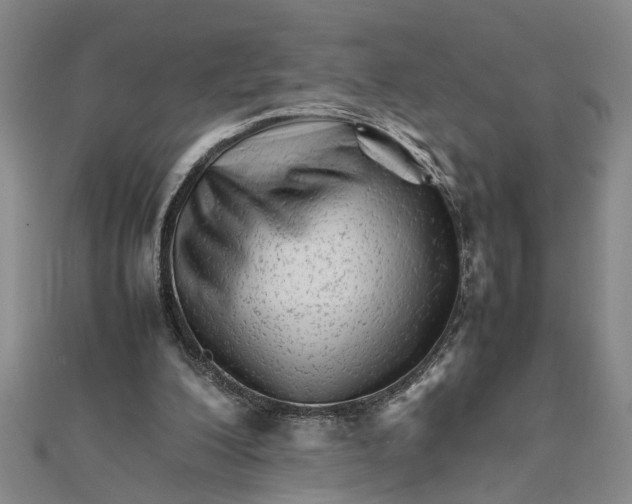 X0000111680200200908071431