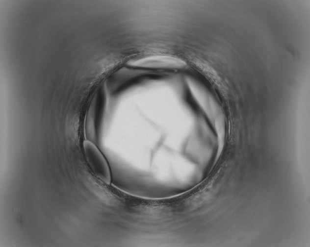 X0000111680201200908071431