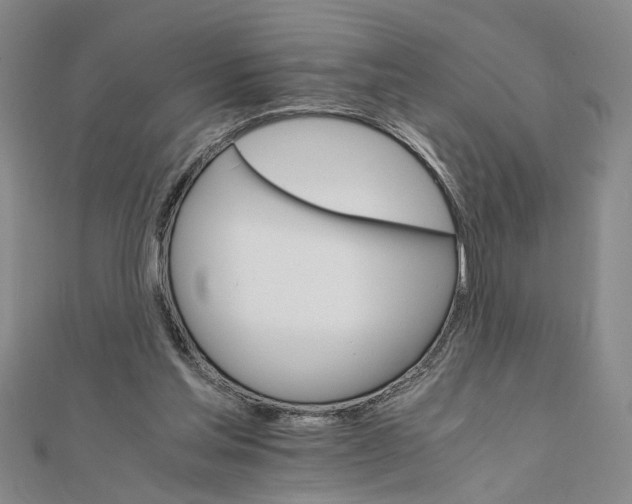 X0000111680205200908071431