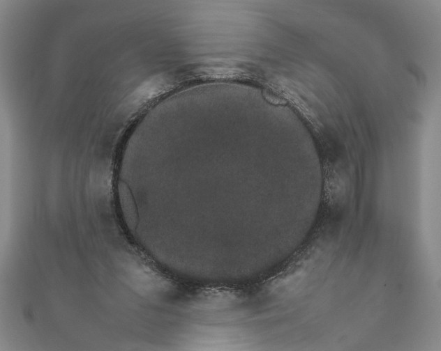 X0000111680207200908071431