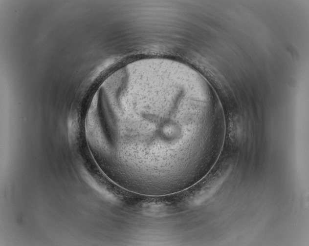 X0000111680208200908071431