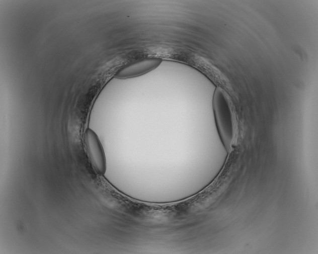 X0000111680209200908071431