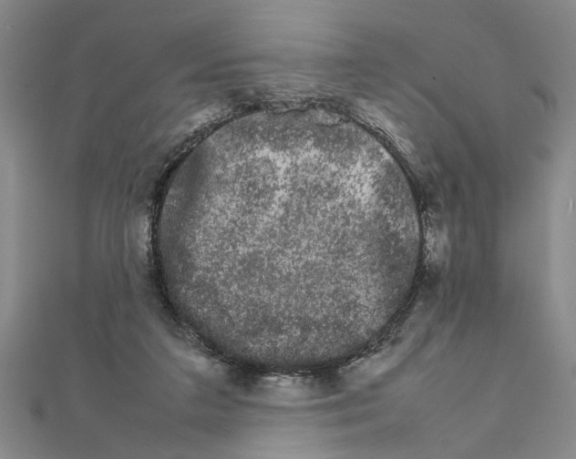 X0000111680211200908071431