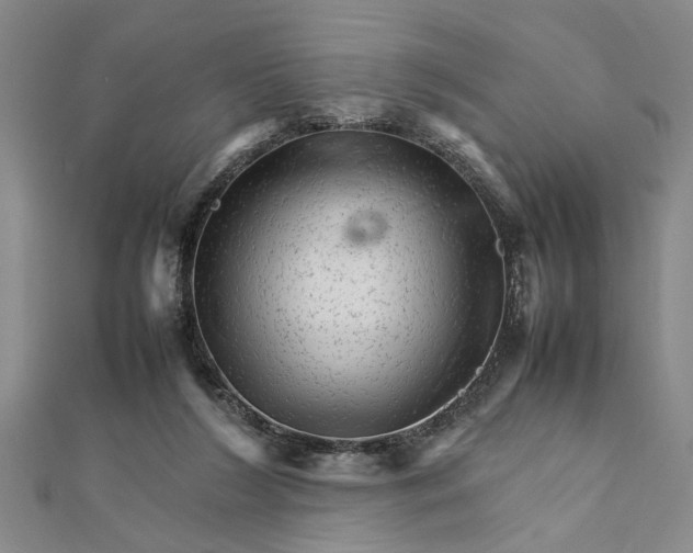 X0000111680212200908071431