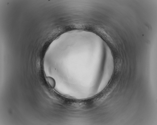 X0000111680213200908071431