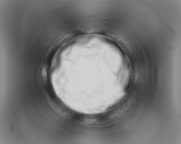 X0000111680214200908071431