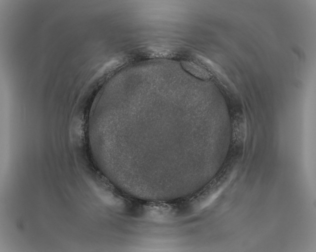 X0000111680215200908071431