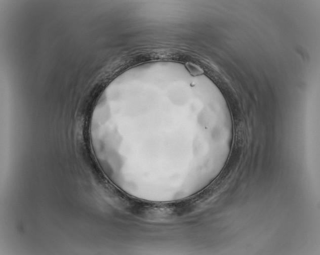 X0000111680217200908071431