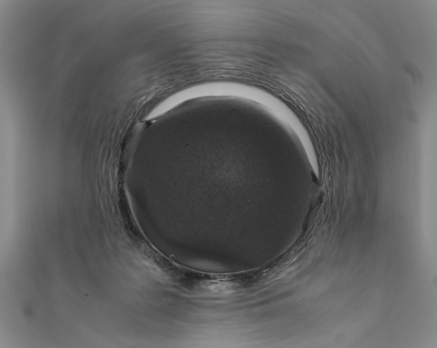 X0000111680219200908071431