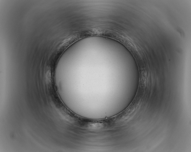 X0000111680220200908071431