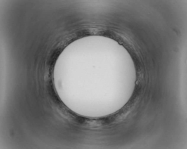 X0000111680221200908071431