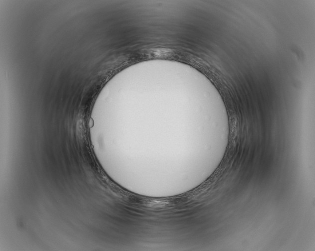 X0000111680222200908071431