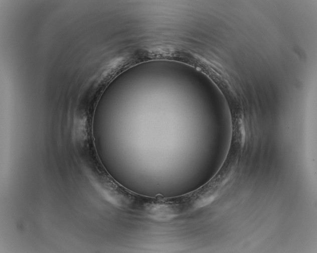 X0000111680224200908071431