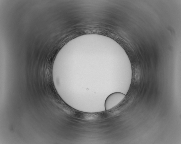 X0000111680226200908071431