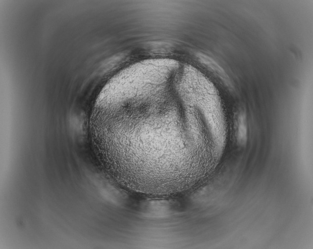 X0000111680228200908071431