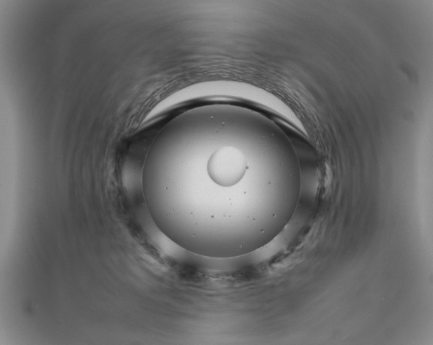 X0000111680229200908071431