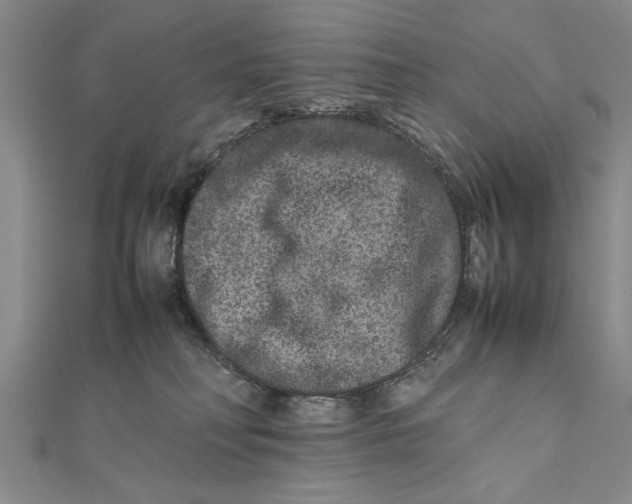 X0000111680230200908071431