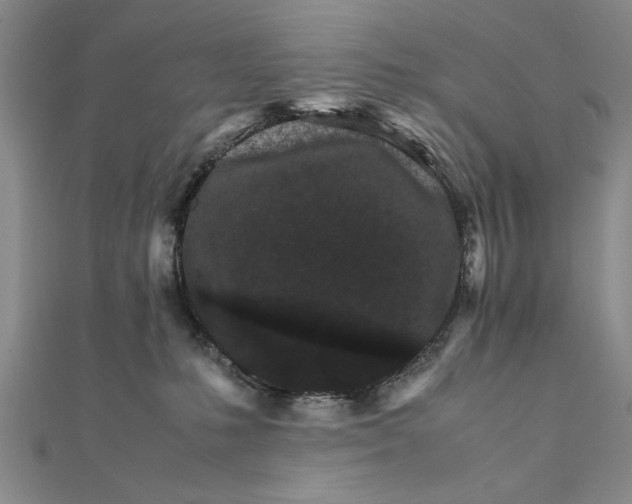 X0000111680231200908071431