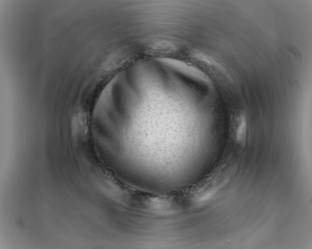 X0000111680232200908071431