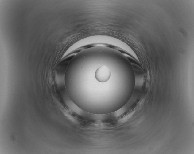 X0000111680233200908071431