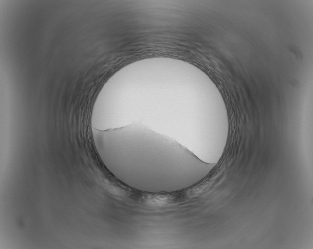 X0000111680235200908071431