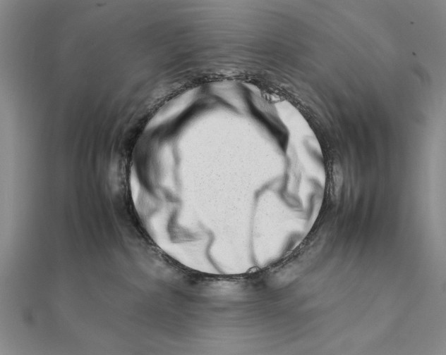 X0000111680236200908071431