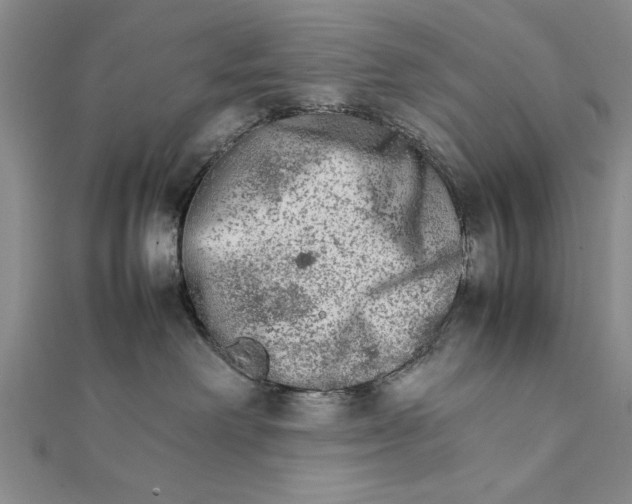 X0000111680238200908071431