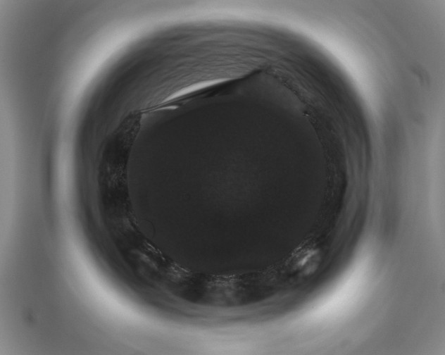 X0000111680239200908071431