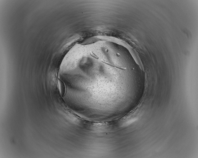 X0000111680240200908071431