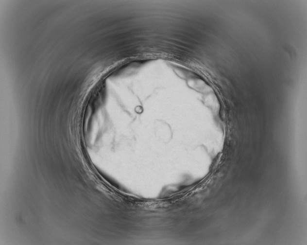 X0000111680241200908071430