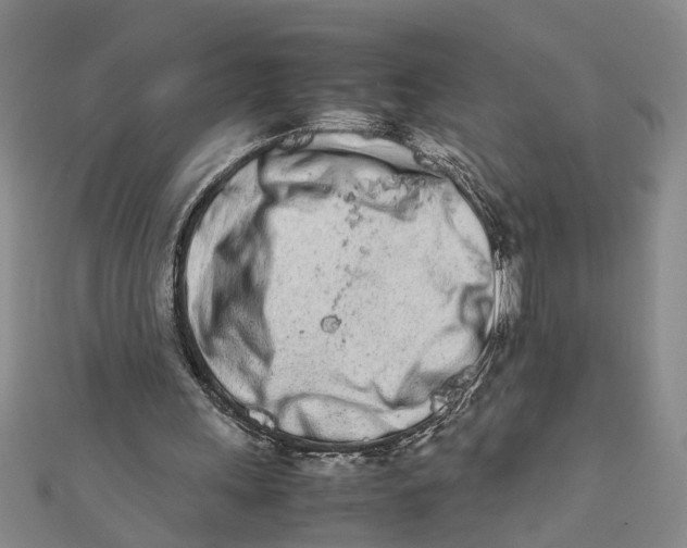 X0000111680243200908071430