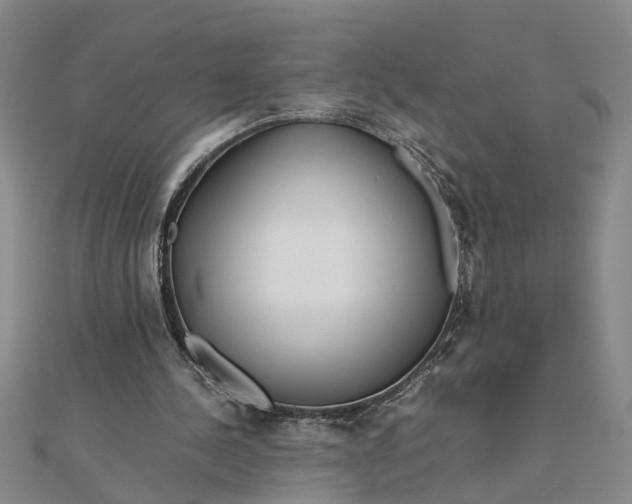 X0000111680244200908071430