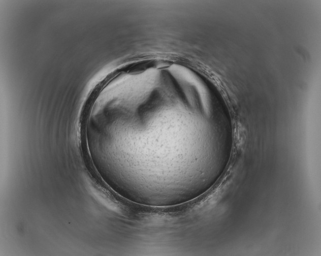 X0000111680246200908071430