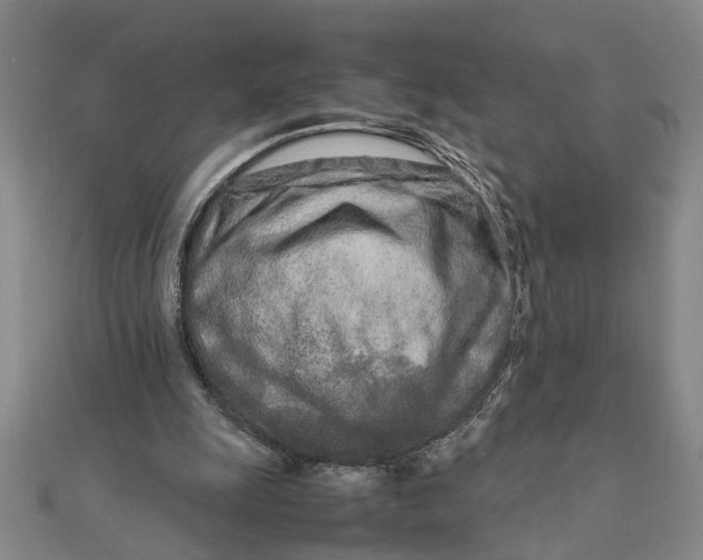 X0000111680247200908071430