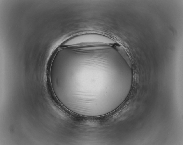 X0000111680248200908071430