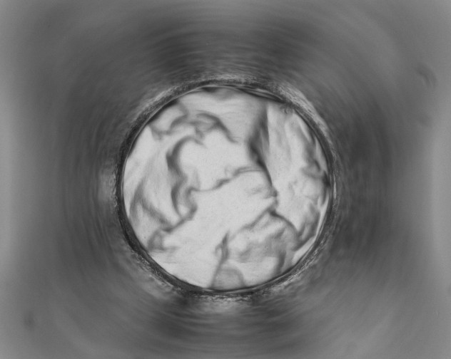 X0000111680249200908071430