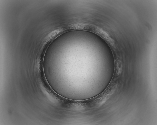 X0000111680250200908071430