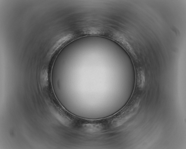 X0000111680251200908071430