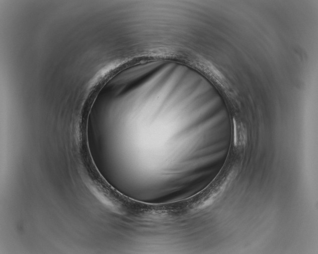 X0000111680252200908071430