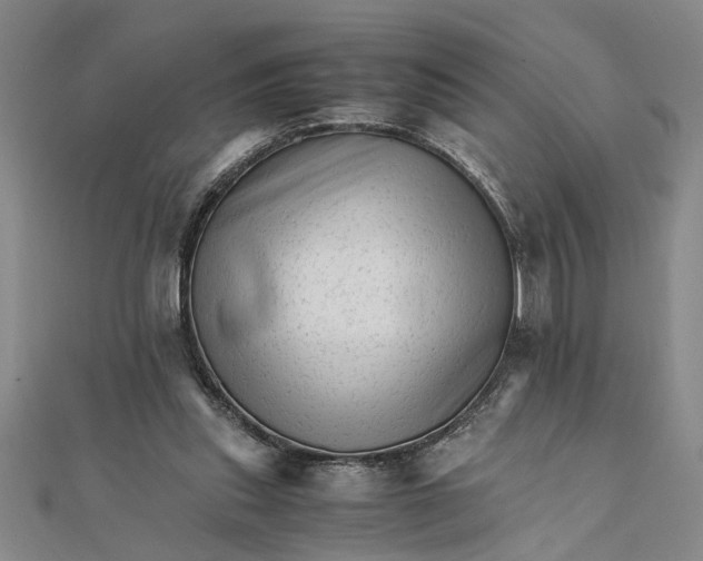 X0000111680253200908071430